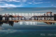 从用户角度聊聊蜂鸟影院在线观看免费：播放稳定性与广告干扰情况的观察（整理版）