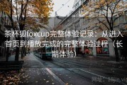 茶杯狐foxcup完整体验记录：从进入首页到播放完成的完整体验过程（长期体验）