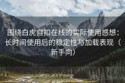 围绕白虎自扣在线的实际使用感想：长时间使用后的稳定性与加载表现（新手向）