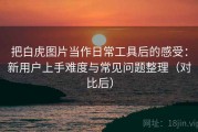 把白虎图片当作日常工具后的感受：新用户上手难度与常见问题整理（对比后）