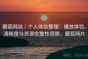 蘑菇网站｜个人体验整理：播放体验、清晰度与资源完整性观察，蘑菇网片