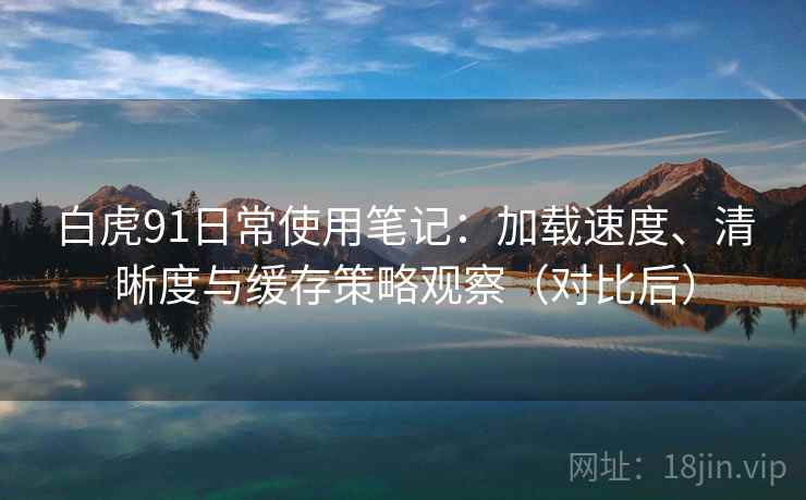 白虎91日常使用笔记：加载速度、清晰度与缓存策略观察（对比后）