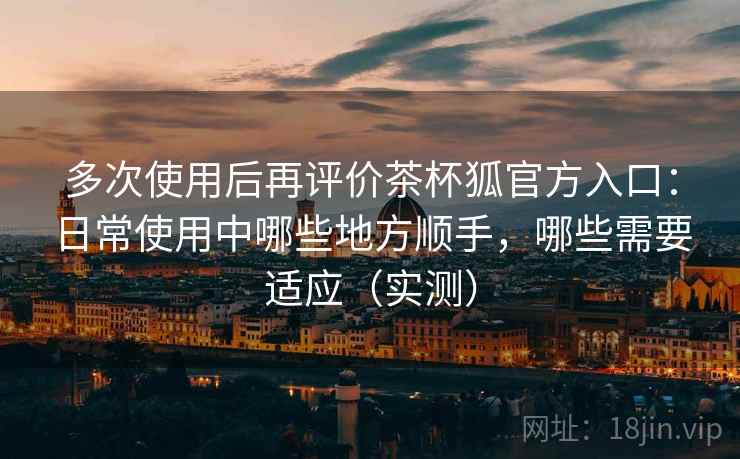 多次使用后再评价茶杯狐官方入口：日常使用中哪些地方顺手，哪些需要适应（实测）