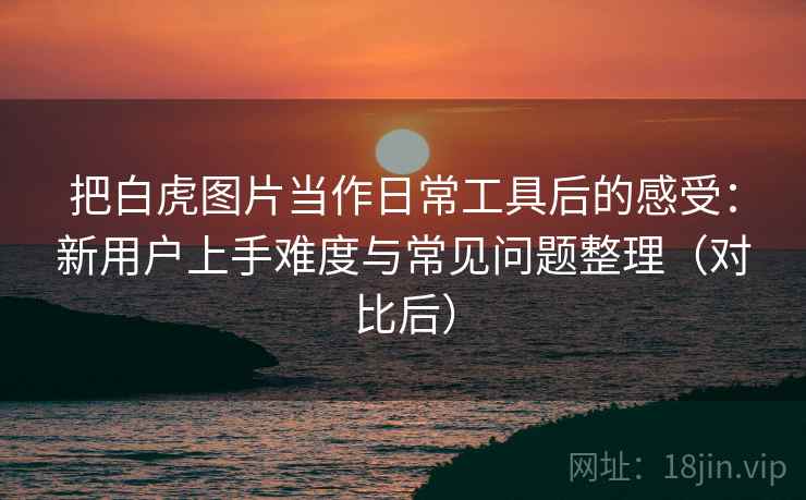 把白虎图片当作日常工具后的感受：新用户上手难度与常见问题整理（对比后）