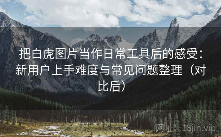 把白虎图片当作日常工具后的感受：新用户上手难度与常见问题整理（对比后）