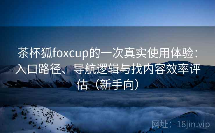 茶杯狐foxcup的一次真实使用体验：入口路径、导航逻辑与找内容效率评估（新手向）
