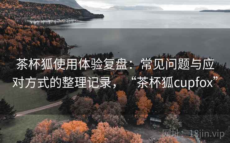 茶杯狐使用体验复盘：常见问题与应对方式的整理记录，“茶杯狐cupfox”
